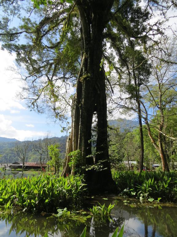 Terrasse Du Lac Munduk Hotel Exterior photo